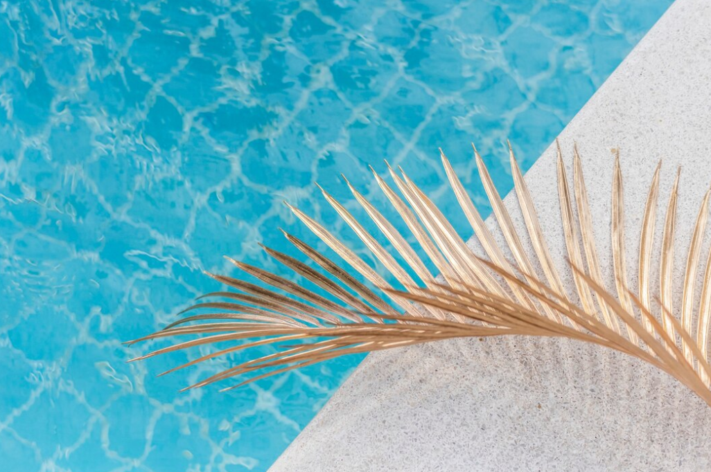 Blue swimming pool with golden palm leaf under the sunlight