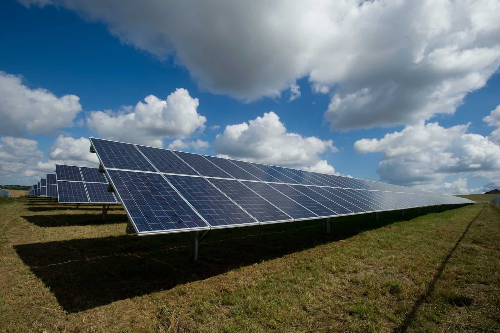 solar panels installed on the earth's surface